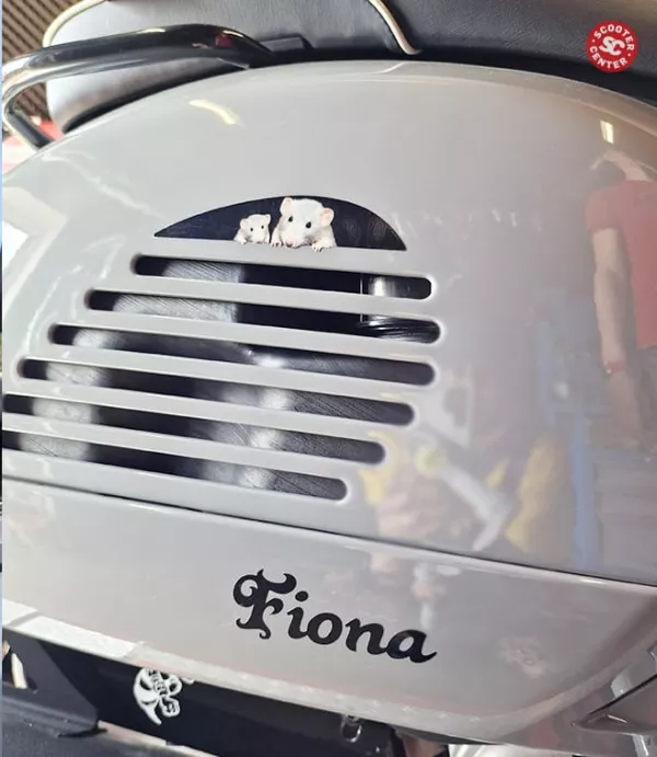 Fiona