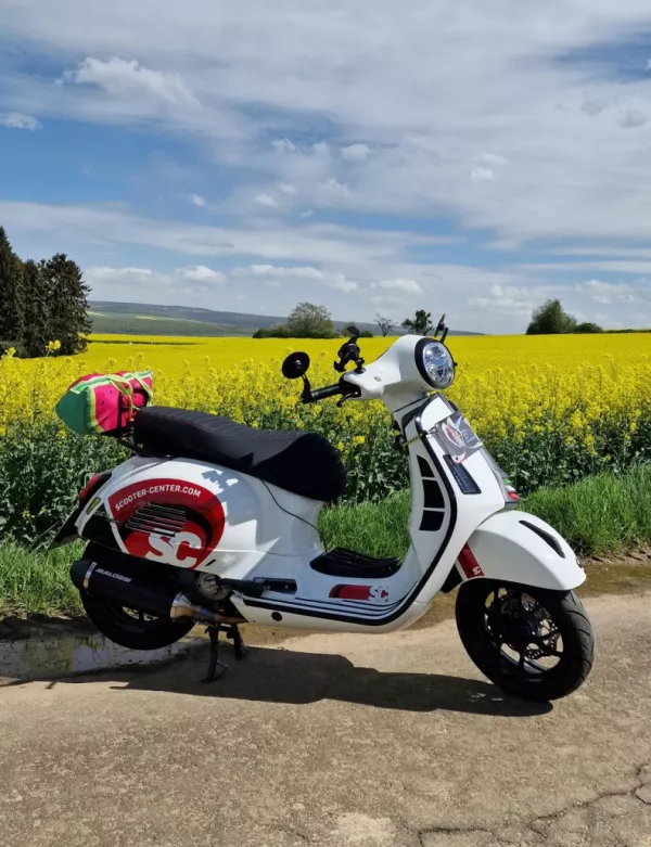 gts-frühling