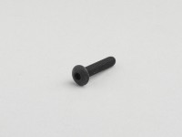 Allen screw -ISO 7380- M5 x 25mm (used for cockpit screen Gilera DNA, Runner (since 2006), Piaggio Beverly, MP3, NRG Extreme, NRG MC3, NRG Power, X8, X9,xEvo)