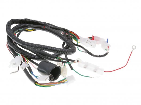main wire / general wire harness -101 OCTANE- for Jinlun Fighter 50