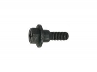Screw body parts 25mm with step -PIAGGIO- Phillips/6-face Phillips