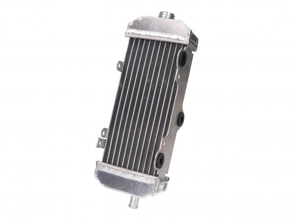 radiator handcrafted -NARAKU- for Beeline, CPI SM 50, SX 50