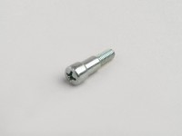 Brake/clutch lever screw -OEM QUALITY- Vespa PX125, PX150, PX200, T5 125cc