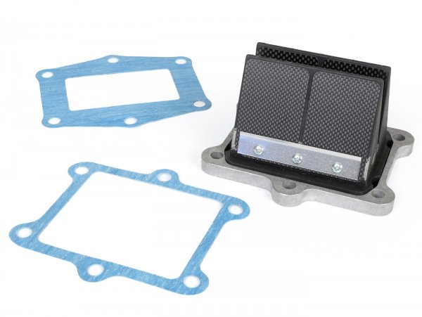 Caja de láminas -ITALKIT Doble Prisma- Honda CR250 también apto para cilindros Quattrini M200, M1L09, M1L-60