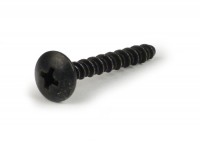 Screw -PIAGGIO- 4x30 self tapping cross head (used for secondary air housing Vespa PX 2011)
