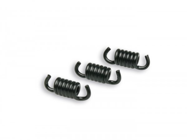 Clutch spring set -MALOSSI Racing- for Malossi Delta/Fly Clutch Ø=2,2mm black