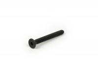 Torx headscrew -DIN7991- M6 x 55mm (tensile strenght 10.9) - used for handlebar end weights Vespa GTS