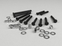 Engine casing bolt set -OEM QUALITY- Vespa V50, V90, PV125, ET3, PK S - 11 bolts