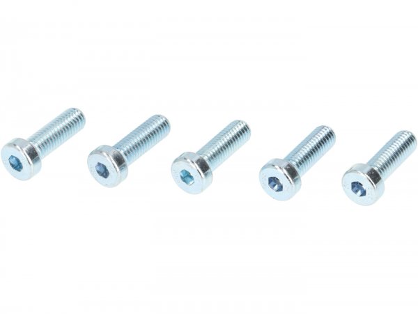 Screw set for front wheel hub 10" -VMC RACING V50 Style- used for mounting Vespa 2.10 inch rim on Vespa ET2, ET4, LX, LXV, S 50-150 - also suitable for PIAGGIO Hexagon, Sfera RST, ZIP II, ZIP SP - silver